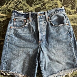 Aritzia Denim Forum Mid-Thigh Blue Shorts